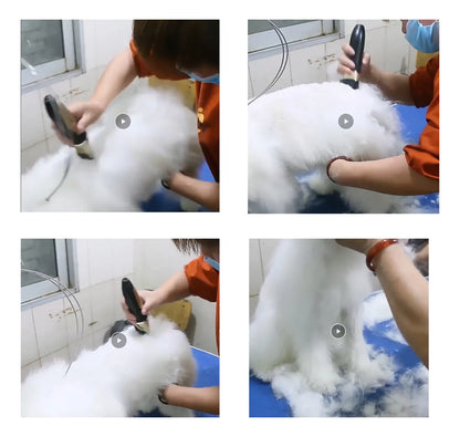 KIT DE CORTE DE PELO PARA MASCOTAS